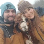 alpacaboerderij wielsbeke james en frenzie alpacas james 6