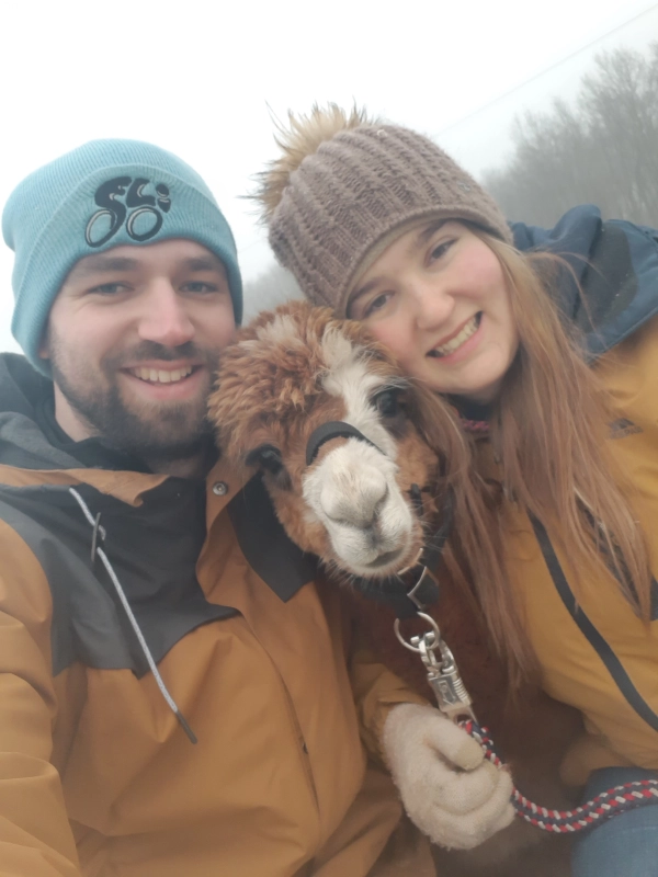 alpacaboerderij wielsbeke james en frenzie alpacas james 6